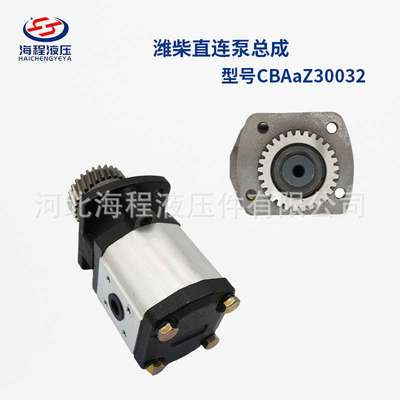 康弘骏玛道 潍柴直连泵总成WP6配套1006411513 型号CBAaZ30032