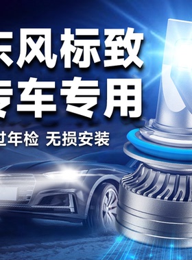 东风标致206207 3008 408 301 307 508改装专用LED远近光前大灯泡