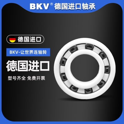 德国BKV进口满珠氧化锆陶瓷轴承696/697/698/699/R188/MR126CE/P5
