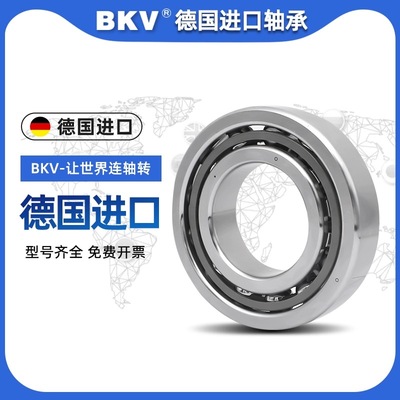 德国进口角接触精密轴承