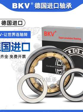 德国BKV圆柱滚子进口轴承N207 N208 N209 N210 EM P4 P5 铜保持架
