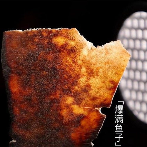 老亚角碎料披毛犀角鱼籽纹保真角