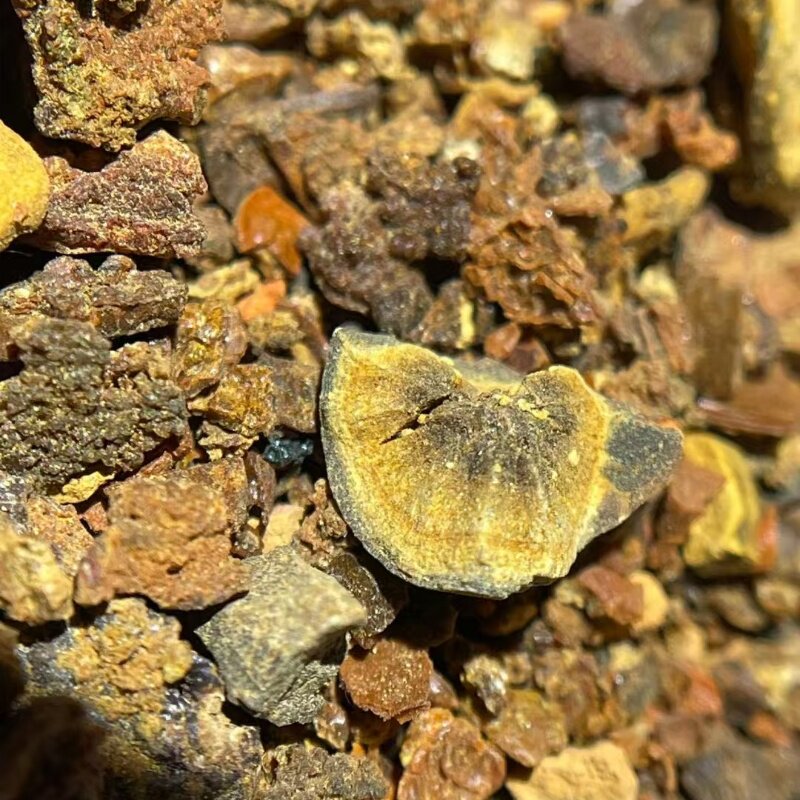 天然牛黄牛胆黄中药材牛结石丑宝