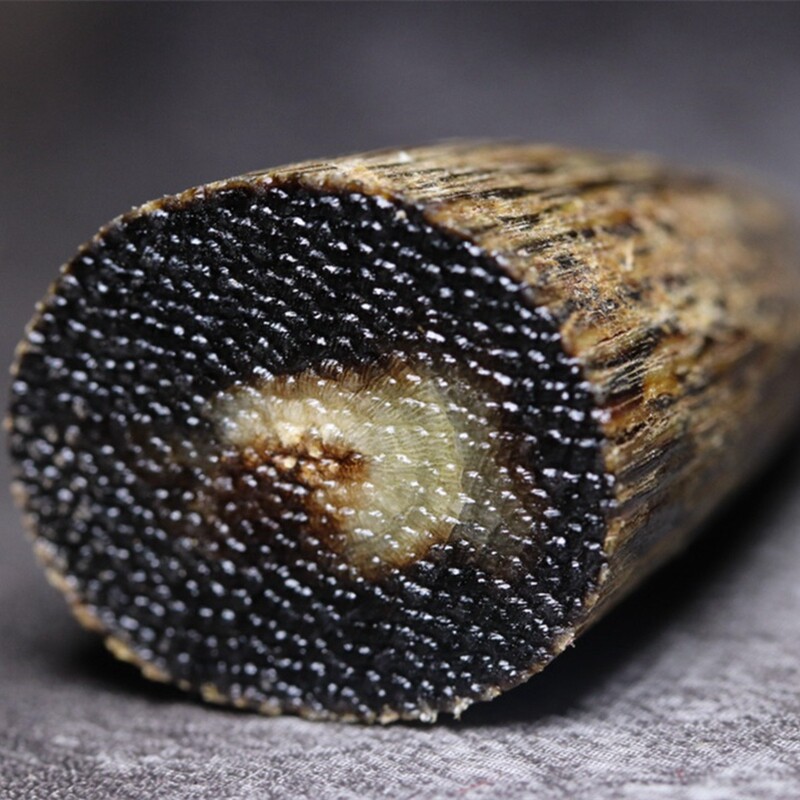 高端披毛犀角尖东南亚非料碎料泡酒料鱼子纹竹丝纹养生竹丝纹清晰