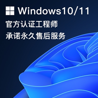 【正版系统U盘】windows电脑重装系统纯净版10专业版11远程安装7