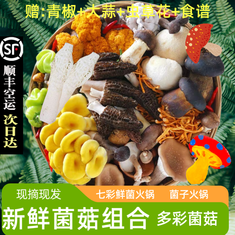 云南新鲜野生菌松茸羊肚菌竹荪金耳牛肝菌杂菌火锅组合时令鲜菌菇