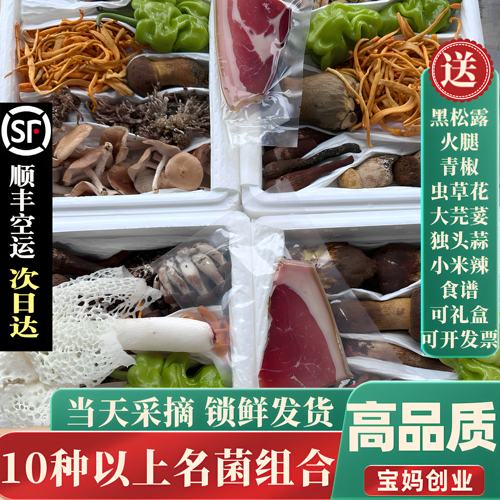 一次尝鲜8-15种野生菌鲜到掉眉毛