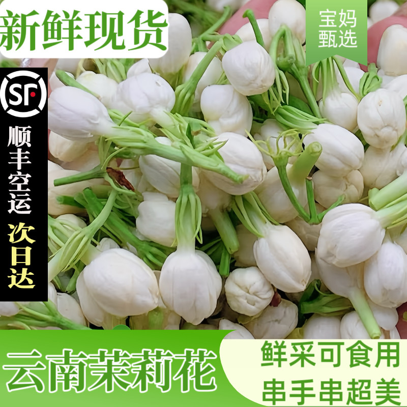 【现货】新鲜茉莉花1斤2026新货可食用花苞云南时令现采鲜花野菜