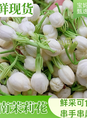食用鲜花当季时令蔬菜茉莉花