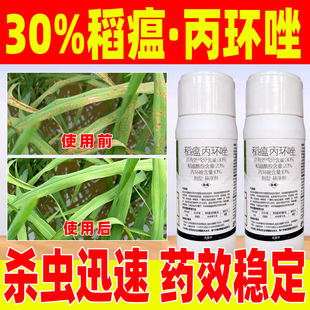 水稻稻瘟病专用杀菌剂30%稻瘟酰胺丙环唑专用药稻温病杀菌药荣邦