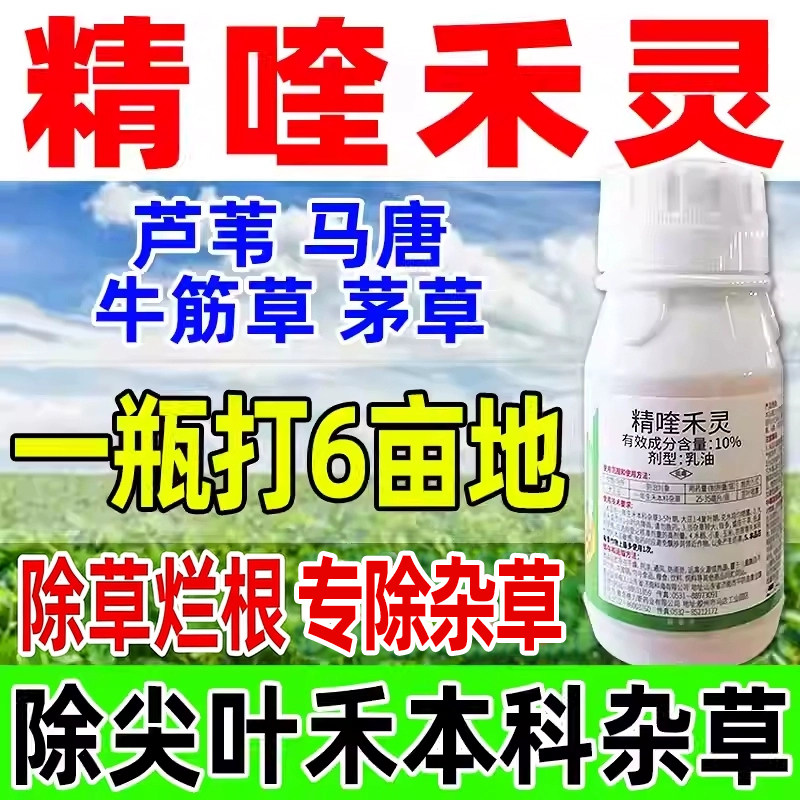 精喹禾灵芦苇除草烂根剂尖叶禾茅草大豆田苗后除杂草正品药精奎a