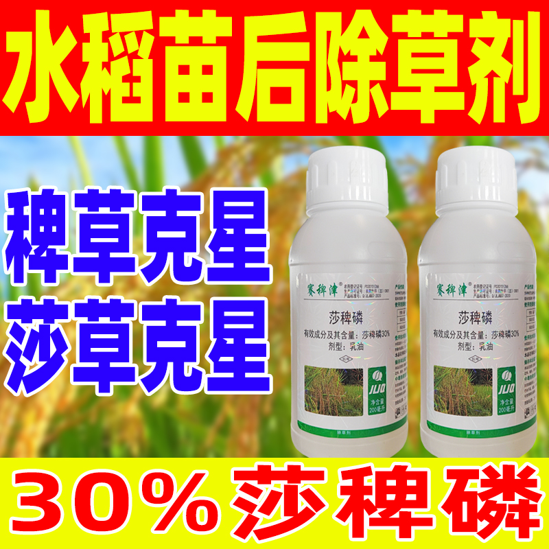 水稻田30%莎稗磷专杀除稗草莎草