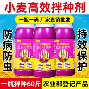 小麦拌种剂专用药种子包衣剂麦黄金小麦高产叶面肥升级款苗期专用
