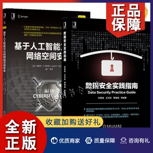 2册 正版 覃锦端 基于人工智能方法 网络空间 王月兵 数据实践指南 刘隽良 基于DSMM实践自评实践指南大数据治理概念书籍