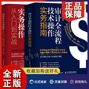 内部审计实务操作 审计全流程技术操作 实务指南 企业公司审计流程审计员工作指南指导书籍风险 2022审计书籍2册 从入门到实战 正版