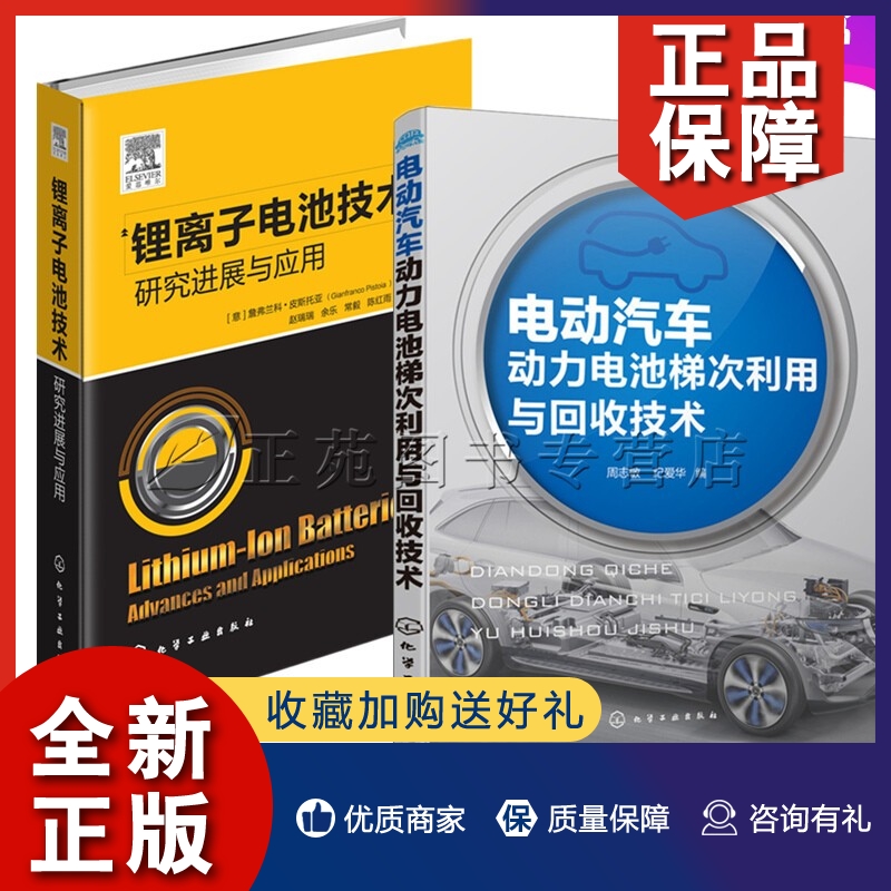 正版【2册】动力锂电池梯次利用与回收处理+锂离子电池技术研究进展与应用 电动汽车镍氢动力电池铅酸动力电池拆解回收再利用技术