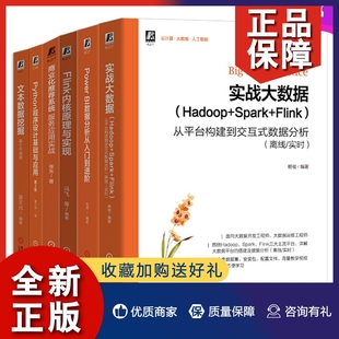 官网 BI数据分析从入门到进阶 Flink内核原理与实现 Power 套装 文本数据挖掘 大数据应用 Python程序设计基础与应用 正版 共6册