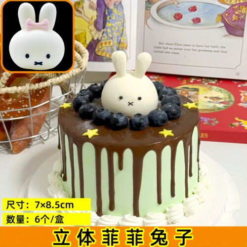 小红书同款卡通蛋糕装饰菲菲兔