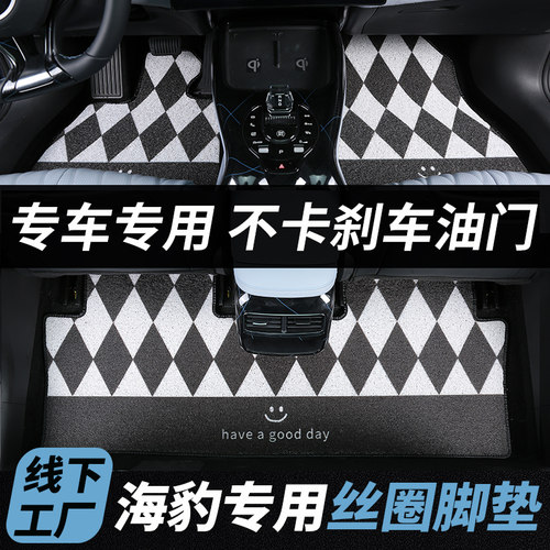 比亚迪海豹专车定制丝圈脚垫