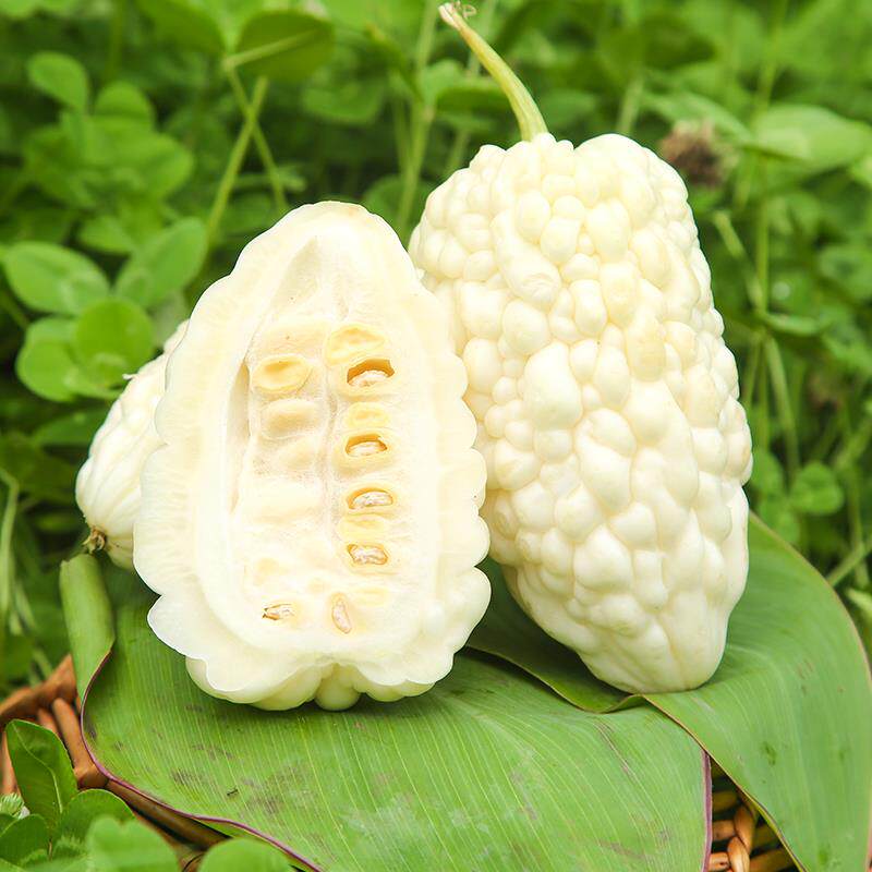 热卖苹果苦瓜新鲜白玉苦瓜现摘现发脆嫩水果苦瓜生吃不苦农家自种
