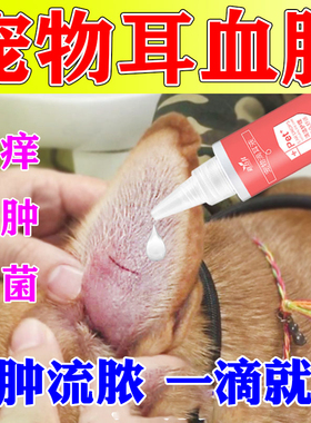 狗狗耳血肿清洁猫咪耳螨污垢消炎肿痛甩耳朵肿大感染流脓皮肤病S