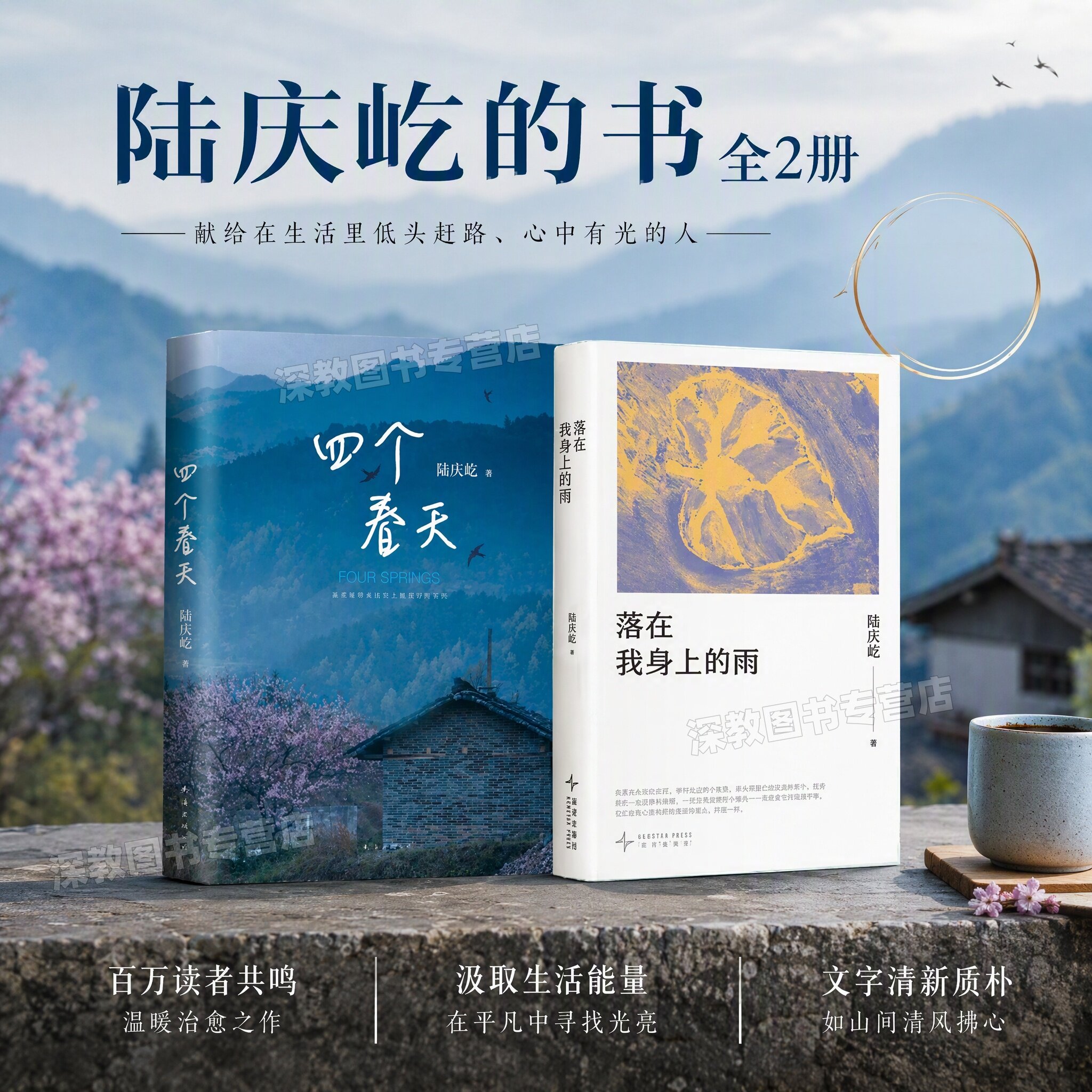 【陆庆屹的书全2册】正版