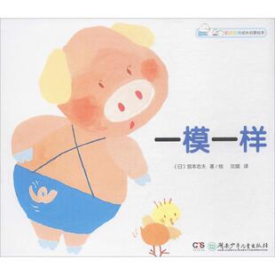 一模一样宫本忠夫沈斌湖南少年儿童出版 包邮 书 社 正版