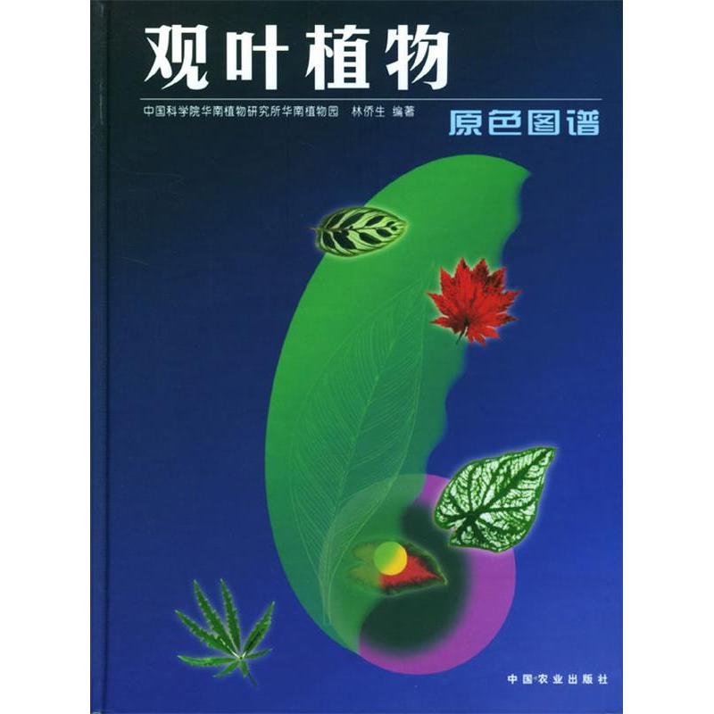 【正版书包邮】观叶植物原色图谱精林侨生中国农业出版社