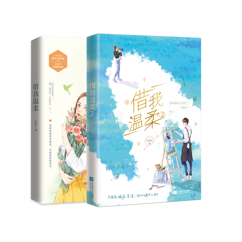 借我温柔正版新书速发