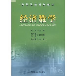 经济数学赵辉合肥工业大学出版 包邮 书 社 正版