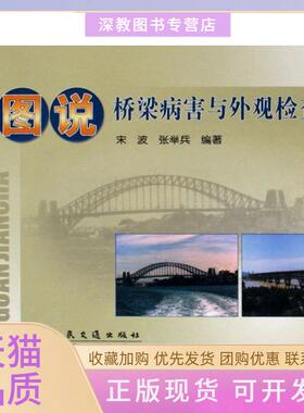 【正版书包邮】图说桥梁病害与外观检查宋波张举兵人民交通