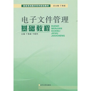 电子文件管理基础教程卞昭玲丁海斌辽宁大学出版 包邮 书 社 正版