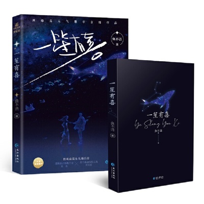 一笙有喜正版新书速发