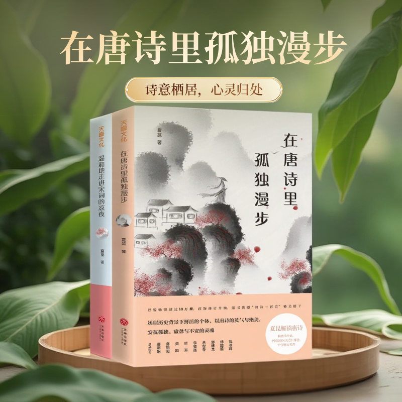 【全2册】在唐诗里孤独漫步