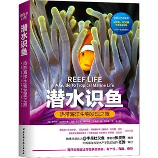 潜水识鱼热带海洋生物发现之旅斯科特迈克尔王金燕李昂北京科学技术出版 包邮 书 社 正版