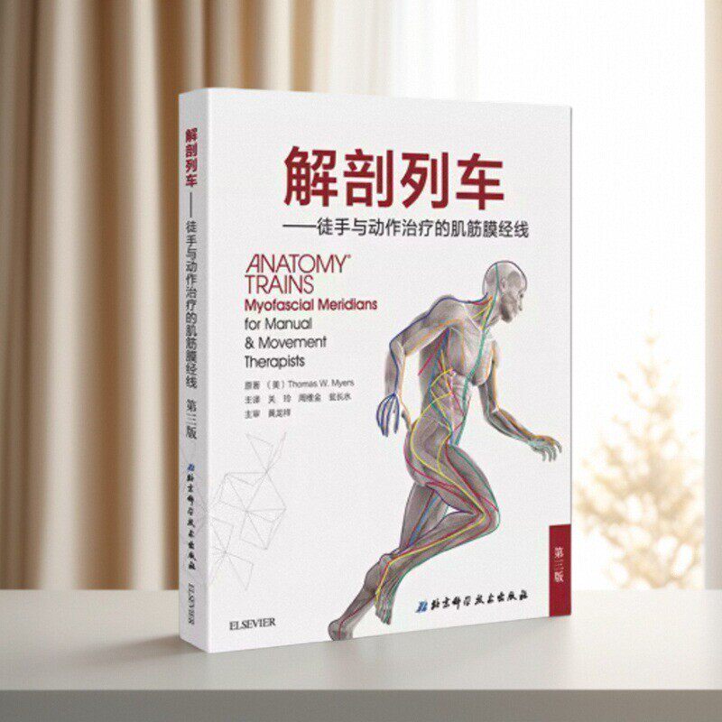 徒手与动作治疗的肌筋膜经线