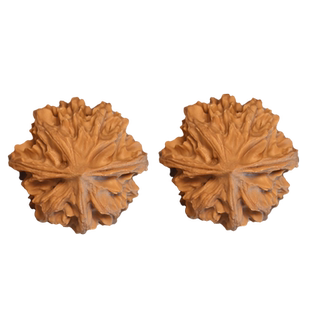 文玩核桃三棱天然三菱正奔精品野生小众手捻手玩手盘把玩把件古玩