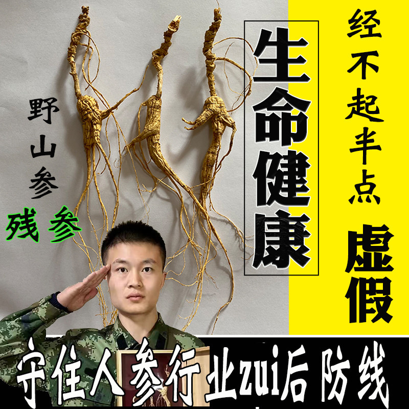 林下山参人参长白山野山参20年残参老山参林下参生晒野人山参籽