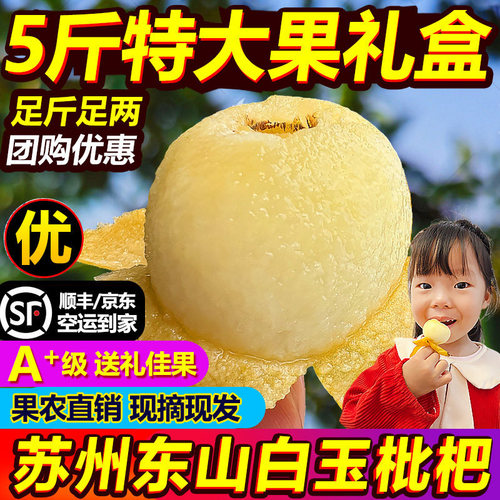 现摘超特大果正宗苏州东山白玉枇杷白沙琵琶新鲜孕妇水果包邮礼盒