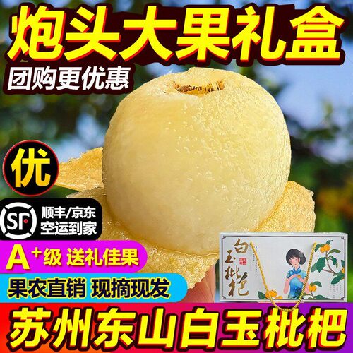 现摘5斤炮头大果正宗苏州东山白玉枇杷白沙枇杷新鲜孕妇水果礼盒