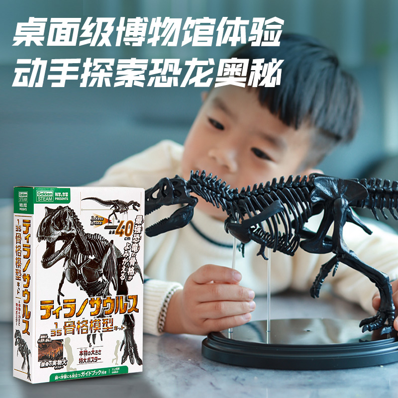 恐龙模型手工拼搭学研益智学习