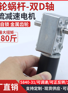 5840-31ZY微型直流减速电机12V24V蜗轮蜗杆自锁调速小型低速马达