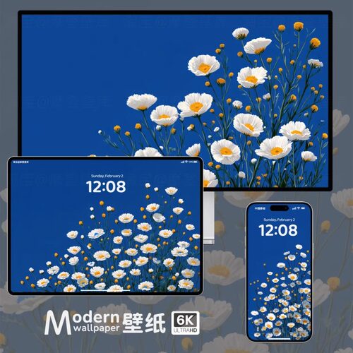 插画雏菊4K超高清壁纸iPhone手机ipad平板电脑唯美治愈花卉壁纸图