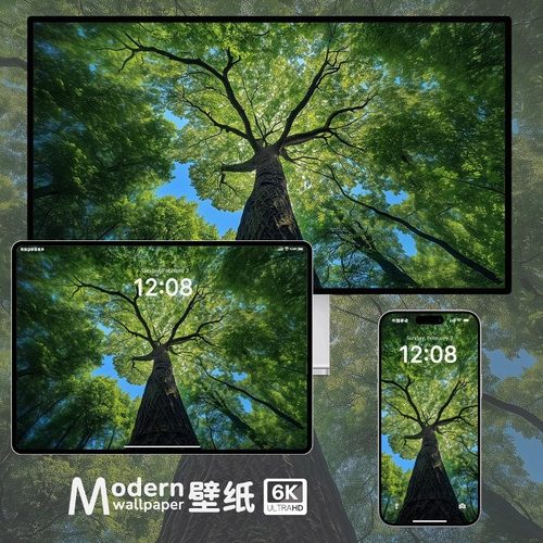 绿色高清护眼壁纸4K自然风景iPhone手机苹果平板电脑ipad壁纸素材