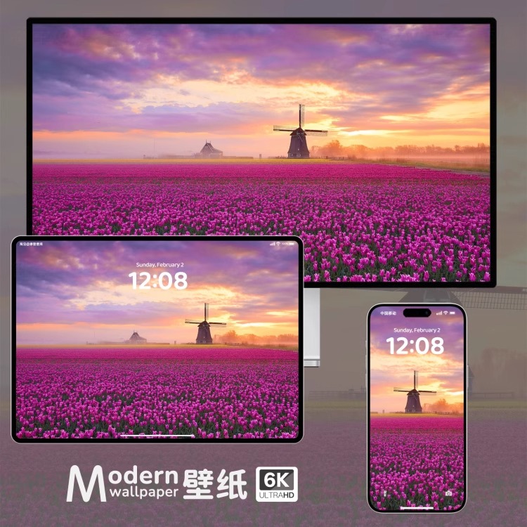 郁金香4K超高清壁纸iPhone手机苹果ipad平板电脑唯美治愈风景壁纸