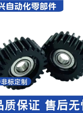 VNM02-2.0-20 24 25 30 32 36 40-B20 轴承型直齿轮