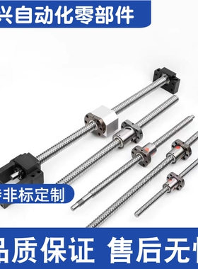 C-TBSB  C-TBSE 2005/2010/2020/2505/2510/2525滚珠丝杠