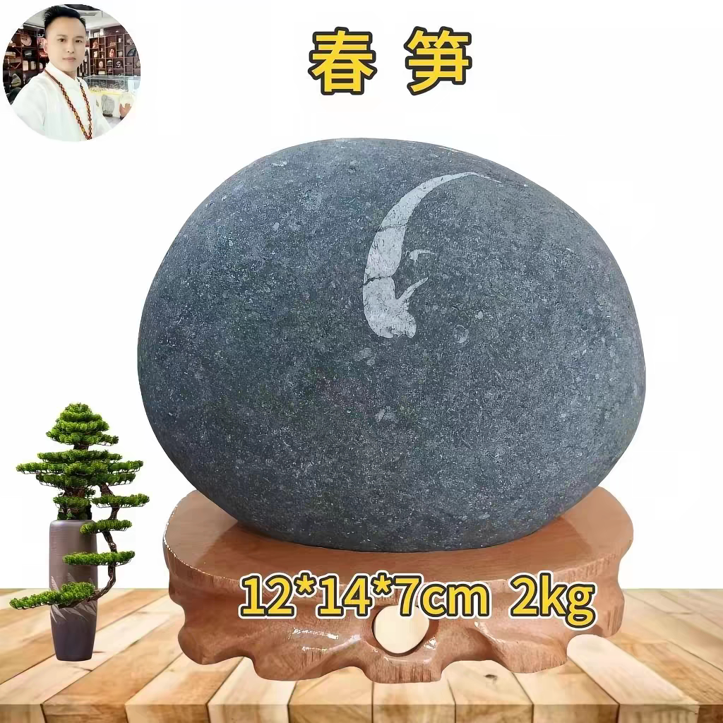 武当山收藏古化石办公居家风水摆件长江天然水墨画面石原石春笋