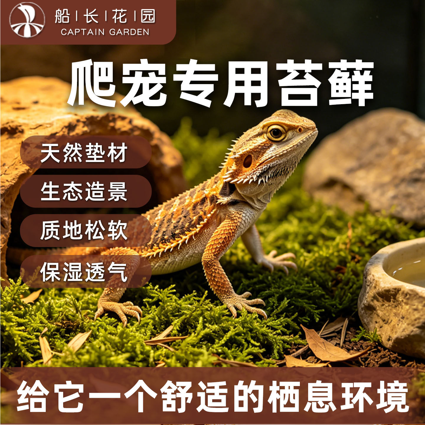爬宠专用水苔黄缘龟睫角守宫保湿青苔藓造景通用乌龟冬眠爬宠垫材