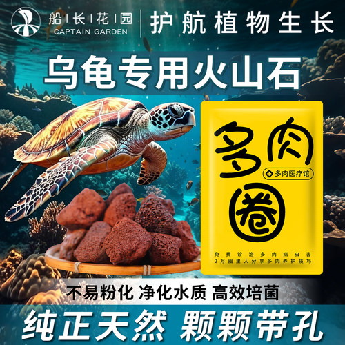 火山石鱼缸专用乌龟缸造景石滤材